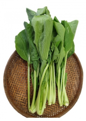 Cải Ngọt